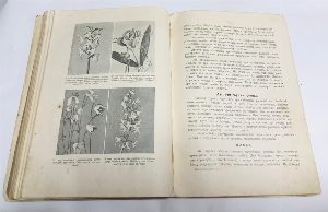 Детская энциклопедия в 10 томах. Том X (10)