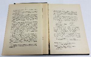 Libro Italiano