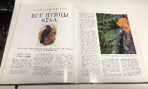 Тайны планеты Земля. Энциклопедия непознанного