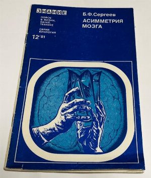 Асимметрия мозга.