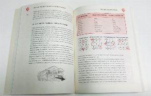 Фэн  шуй Летящей звезды для профессионалов.