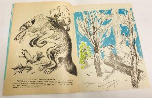 Сказки. Книжка-раскраска.