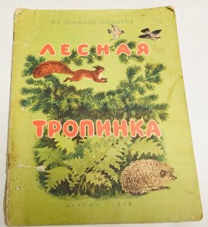 Лесная тропинка.
